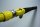 Matagi PLS 20 gelb/yellow